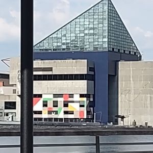 Meet your Posher, Kevin